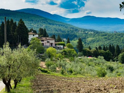 Holiday house Ferienhaus in Chianti mit Pool und Sauna - Environment photo 18