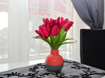 Holiday house Holidayhouse Schier - Features photo 11