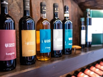 Holiday apartment Bella Vista - Outdoor photo 13