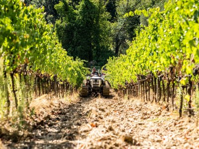 Holiday apartment Bella Vista - Environment photo 32