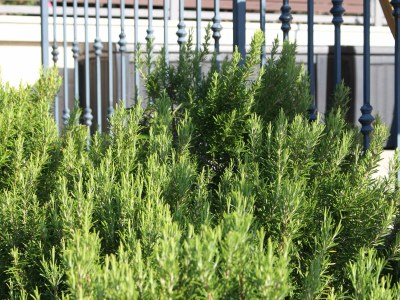 Holiday house Haus Joanna - Outdoor photo 15