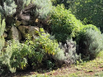 Holiday house Haus Joanna - Outdoor photo 16