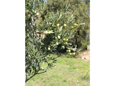 Holiday house Haus Joanna - Outdoor photo 17