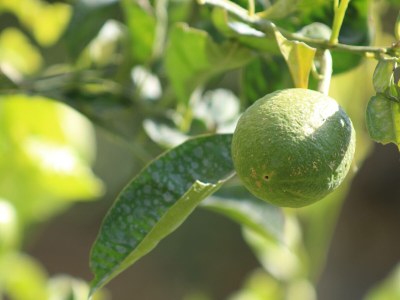 Holiday house Haus Joanna - Outdoor photo 19