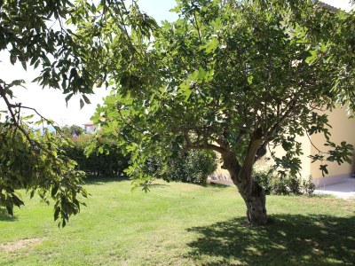 Holiday house Haus Joanna - Outdoor photo 21