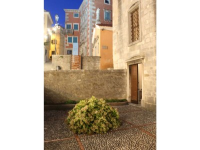 Holiday house Haus Joanna - Environment photo 39