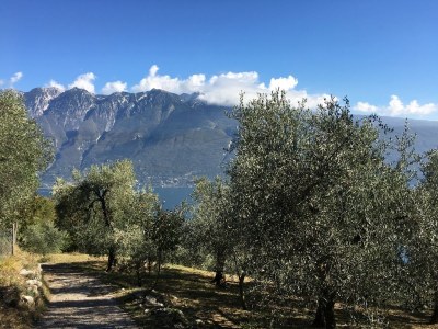 Holiday apartment Stella - Environment photo 24