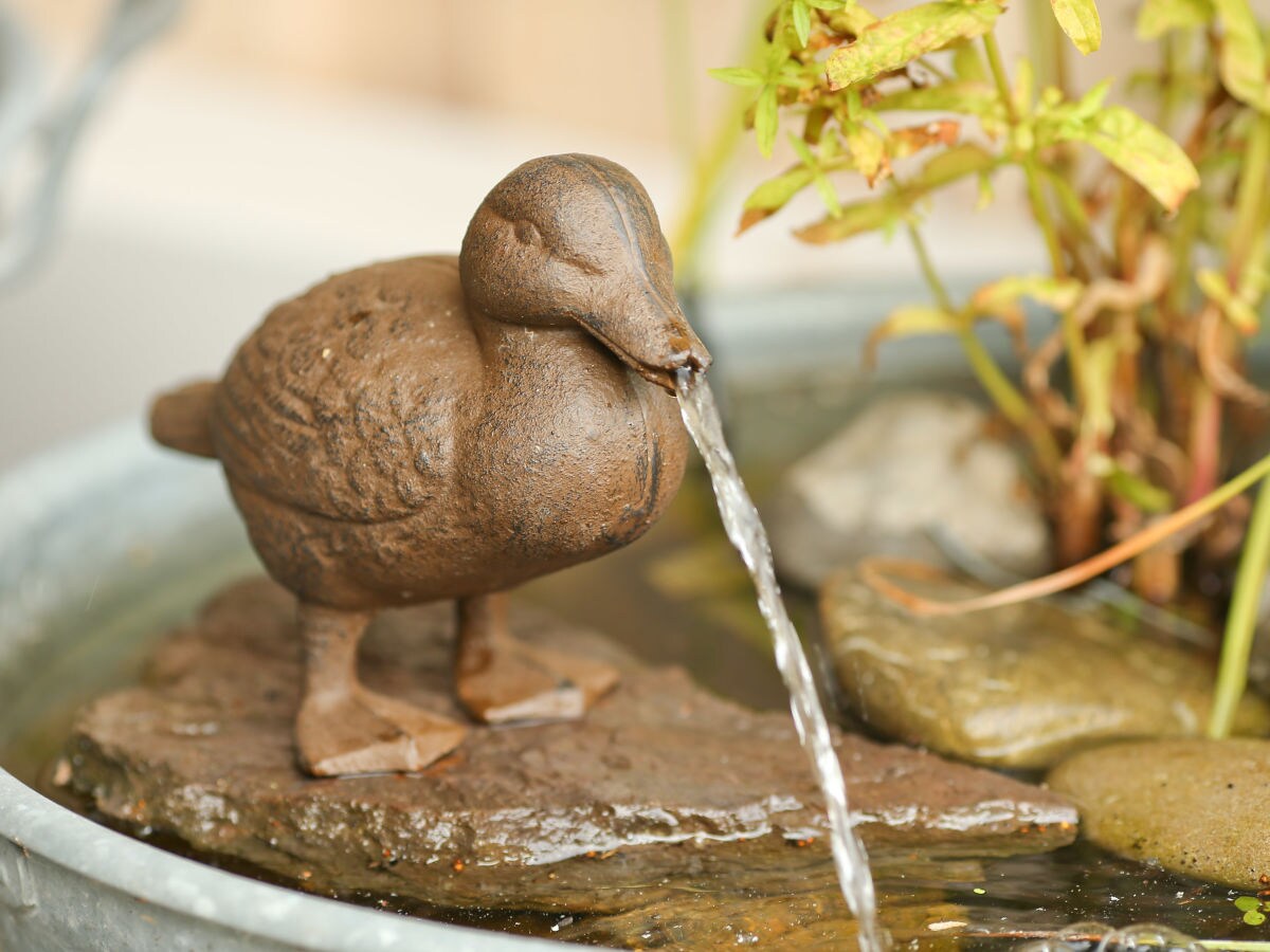 Holiday house Life is art at the "Alte Pferdestall" - Outdoor photo 5