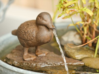 Holiday house Life is art at the "Alte Pferdestall" - Outdoor photo 5