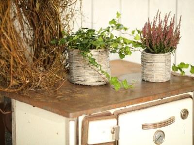 Holiday house Life is art at the "Alte Pferdestall" - Outdoor photo 6