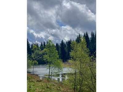 Holiday house Life is art at the "Alte Pferdestall" - Environment photo 26