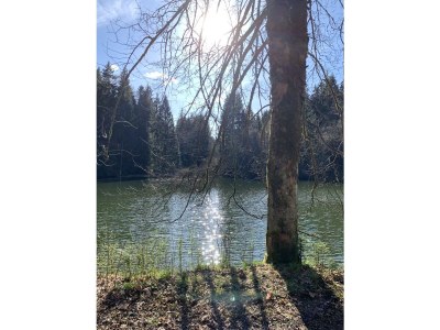 Holiday house Life is art at the "Alte Pferdestall" - Environment photo 28