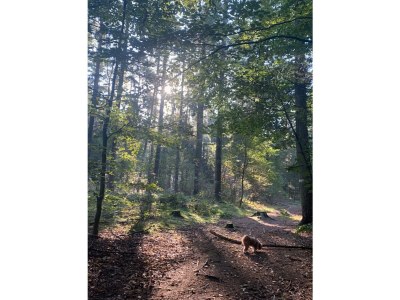 Holiday house The Captain Tower - Environment photo 37