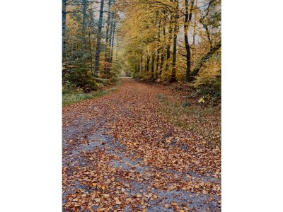 Holiday house The Captain Tower - Environment photo 38