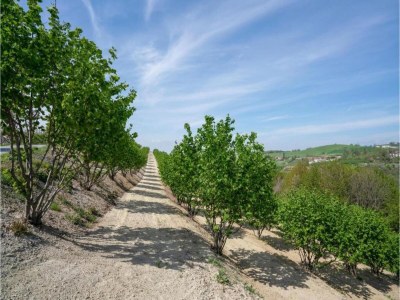 Apartment Hillview Langhe Apartment - Environment photo 24