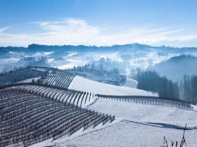 Apartment Hillview Langhe Apartment - Environment photo 32