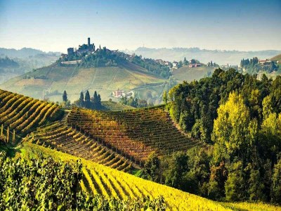 Apartment Hillview Langhe Apartment - Environment photo 35