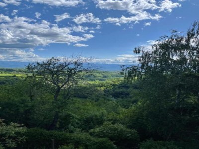Apartment Hillview Langhe Apartment - Environment photo 38