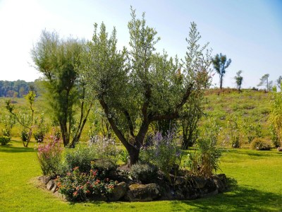 Villa Villa in Frankreich mit Pool & Strandnähe - Outdoor photo 9