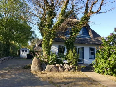 Holiday house Achterhus - Outdoor photo 4