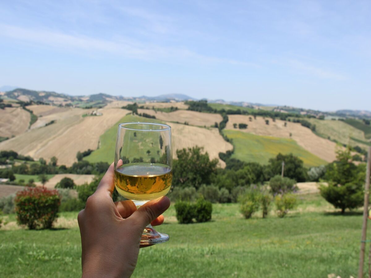 Apartment Wohnung in Piticchio mit Pool und Aussicht - Outdoor photo 3