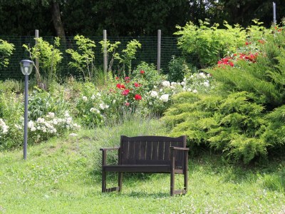 Apartment Wohnung in Piticchio mit Pool und Aussicht - Outdoor photo 10