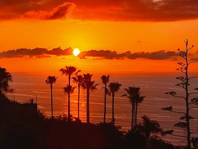 Holiday apartment "Flora" in La Paz - Environment photo 35