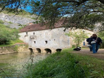 Holiday house Quiet Normandy Hideaway - Environment photo 39