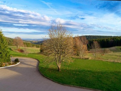 Holiday house Neustadt 2BR with Garden - Environment photo 25