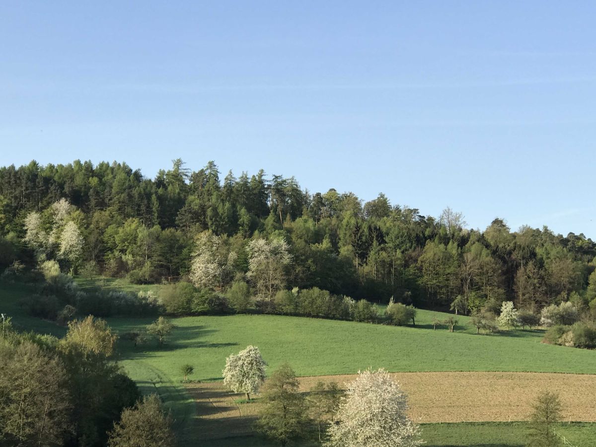 Holiday apartment Romantic Spessart - Outdoor photo 2