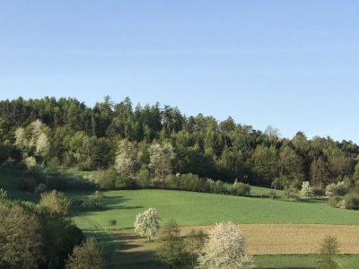 Holiday apartment Romantic Spessart - Outdoor photo 2