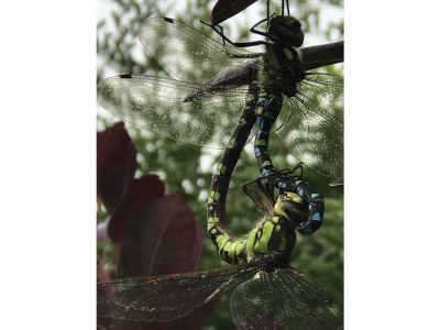 Holiday apartment Romantic Spessart - Outdoor photo 6