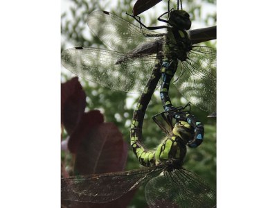 Holiday apartment Romantic Spessart - Environment photo 12