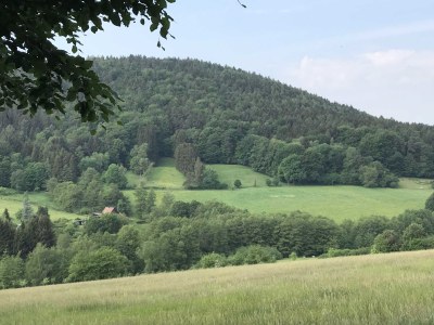 Holiday apartment Romantic Spessart - Environment photo 13