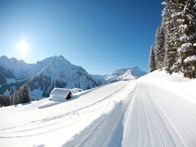 Holiday apartment Am Walmendingerhorn - Studio Appartment - Environment photo 16