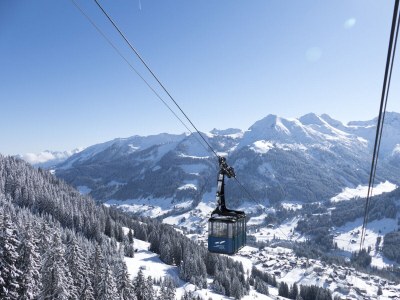 Holiday apartment Am Walmendingerhorn - Studio Appartment - Environment photo 17