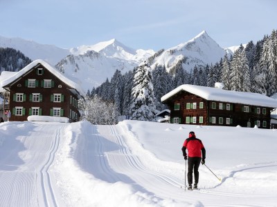 Holiday apartment Am Walmendingerhorn - Studio Appartment - Environment photo 18