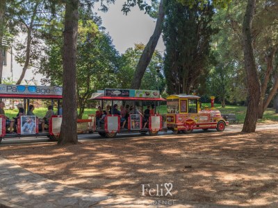 Holiday house House sole, heated pool - Environment photo 30