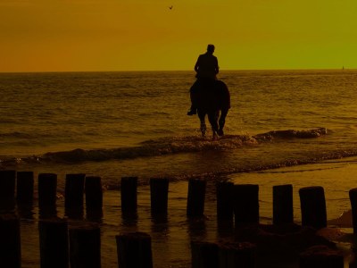 Bungalow B "Zee, Bos en Duin" - Environment photo 19