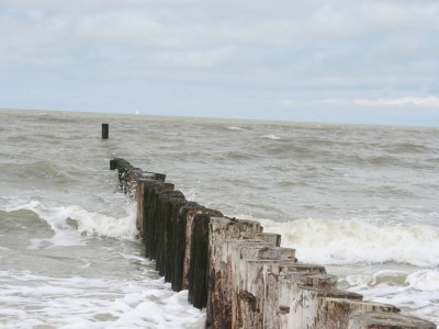 Bungalow B "Zee, Bos en Duin" - Environment photo 21