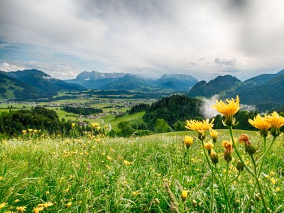 Holiday apartment Enzian in the house Sonnenrose 1 - Environment photo 9