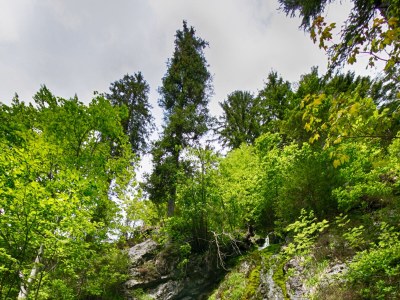 Holiday apartment Enzian in the house Sonnenrose 1 - Environment photo 11