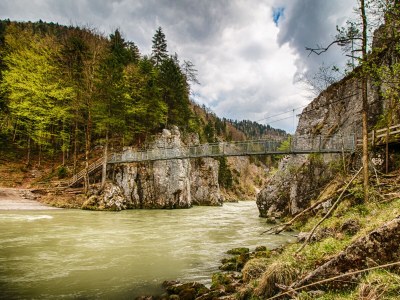 Holiday apartment Enzian in the house Sonnenrose 1 - Environment photo 12