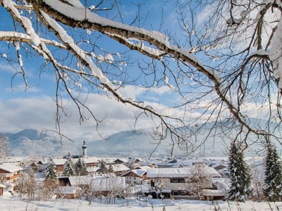 Holiday apartment Enzian in the house Sonnenrose 1 - Environment photo 15