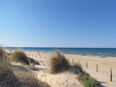 Holiday apartment Sunlight - Features photo 21