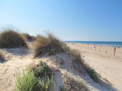 Holiday apartment Sunlight - Features photo 23