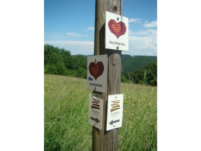 Holiday apartment "Moseltor" - Environment photo 28