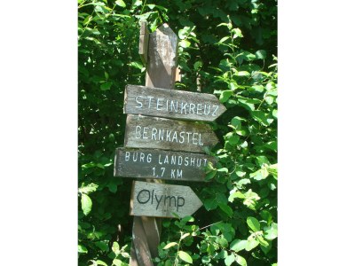 Holiday apartment "Moseltor" - Environment photo 29