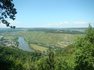 Holiday apartment "Moseltor" - Environment photo 30