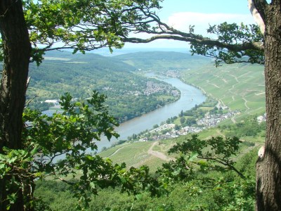 Holiday apartment "Moseltor" - Environment photo 31